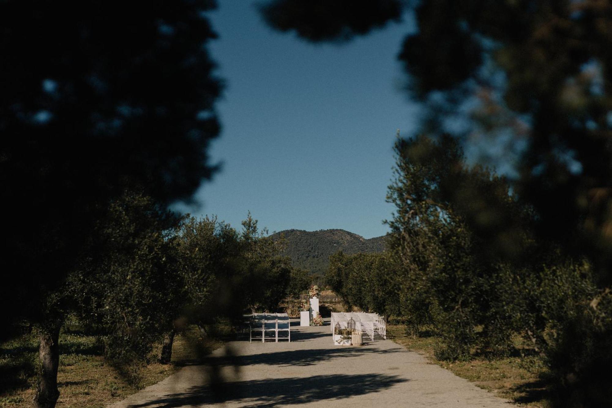 Finca La Concertista Llorenc del Penedes Εξωτερικό φωτογραφία